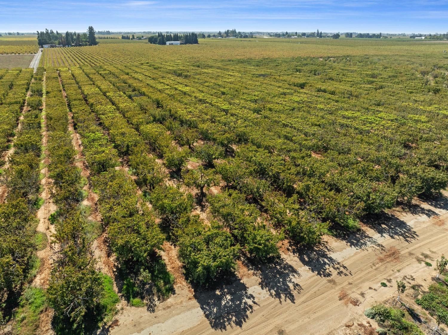 15089 Locust Tree rd, Lodi, CA for sale Primary Photo- Image 1 of 1