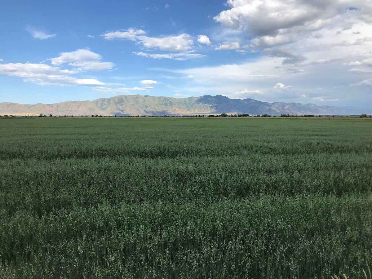 10600 N 10000 W, Bothwell, UT 84337