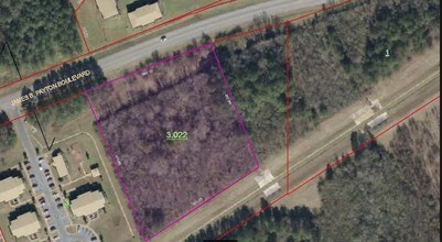 James Payton Blvd, Sylacauga, AL - AERIAL  map view