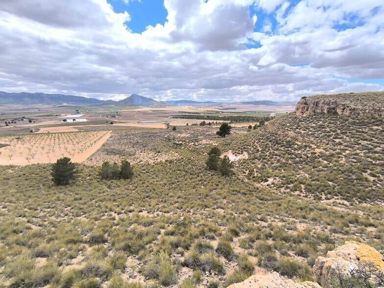 Land in MURCIA for sale - Building Photo - Image 2 of 8