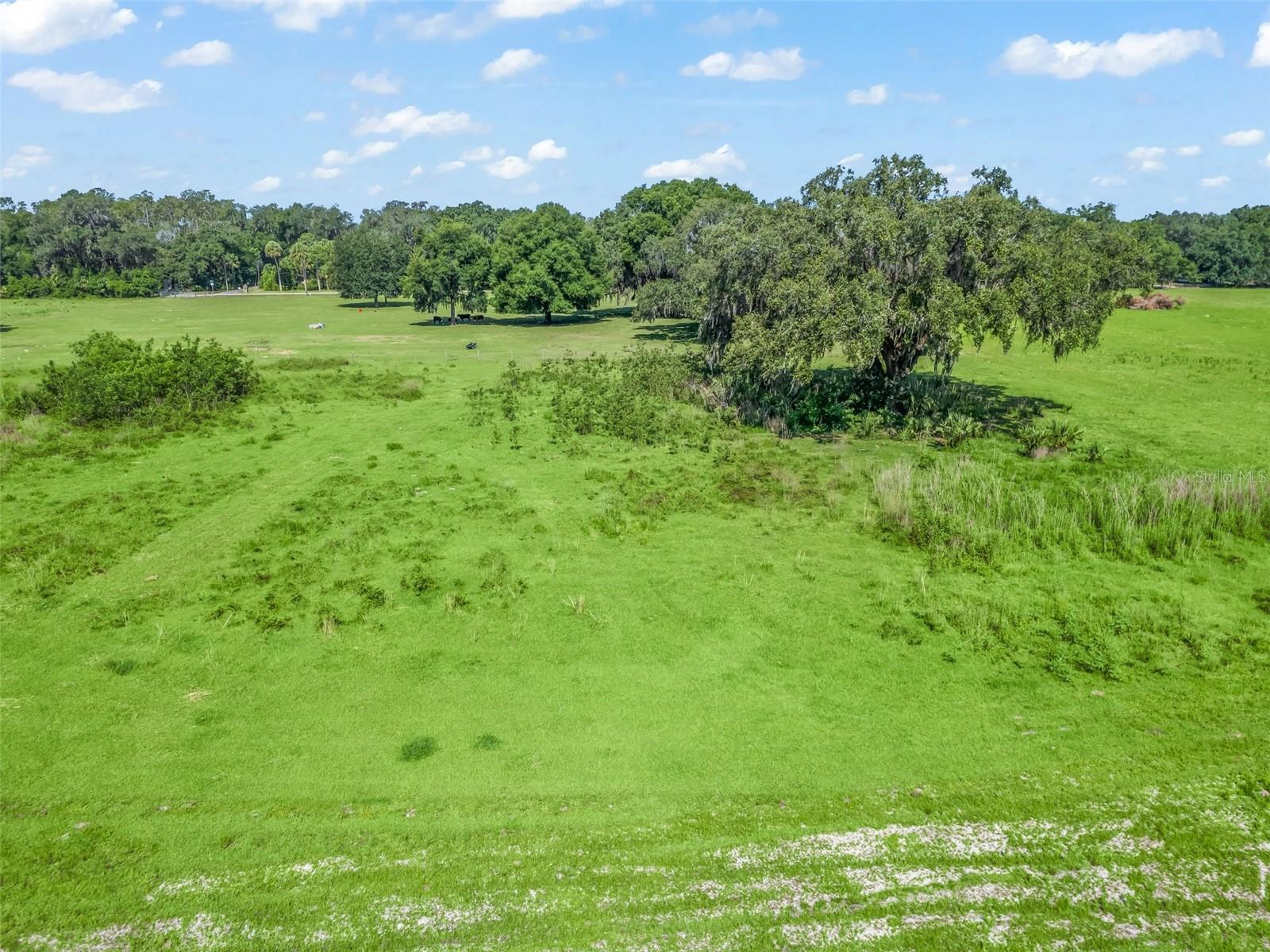 CR 603, Bushnell, FL 33513 Land for Sale