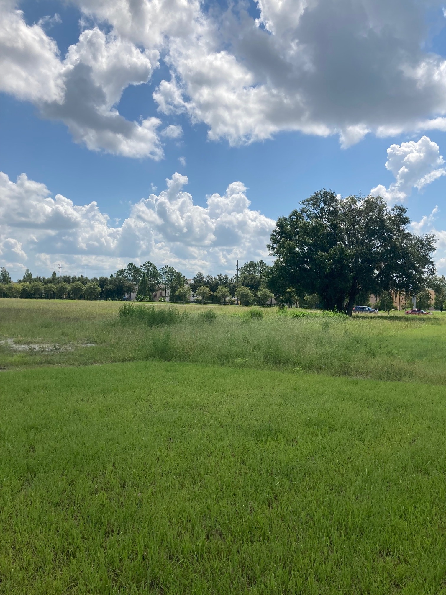 Oakley Boulevard, Wesley Chapel, FL for sale Primary Photo- Image 1 of 1