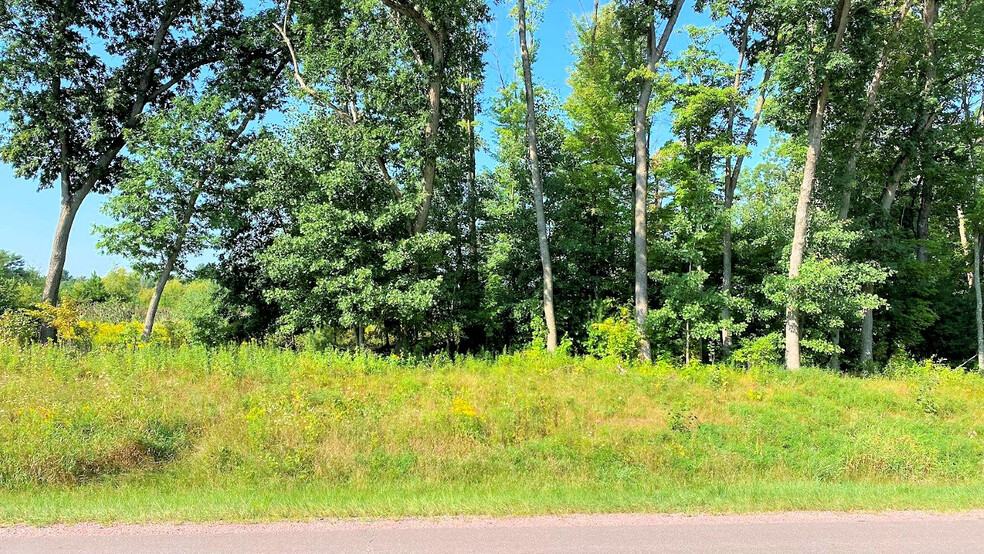 Lot 5 HWY 13, Wisconsin Dells, WI for sale - Building Photo - Image 3 of 24