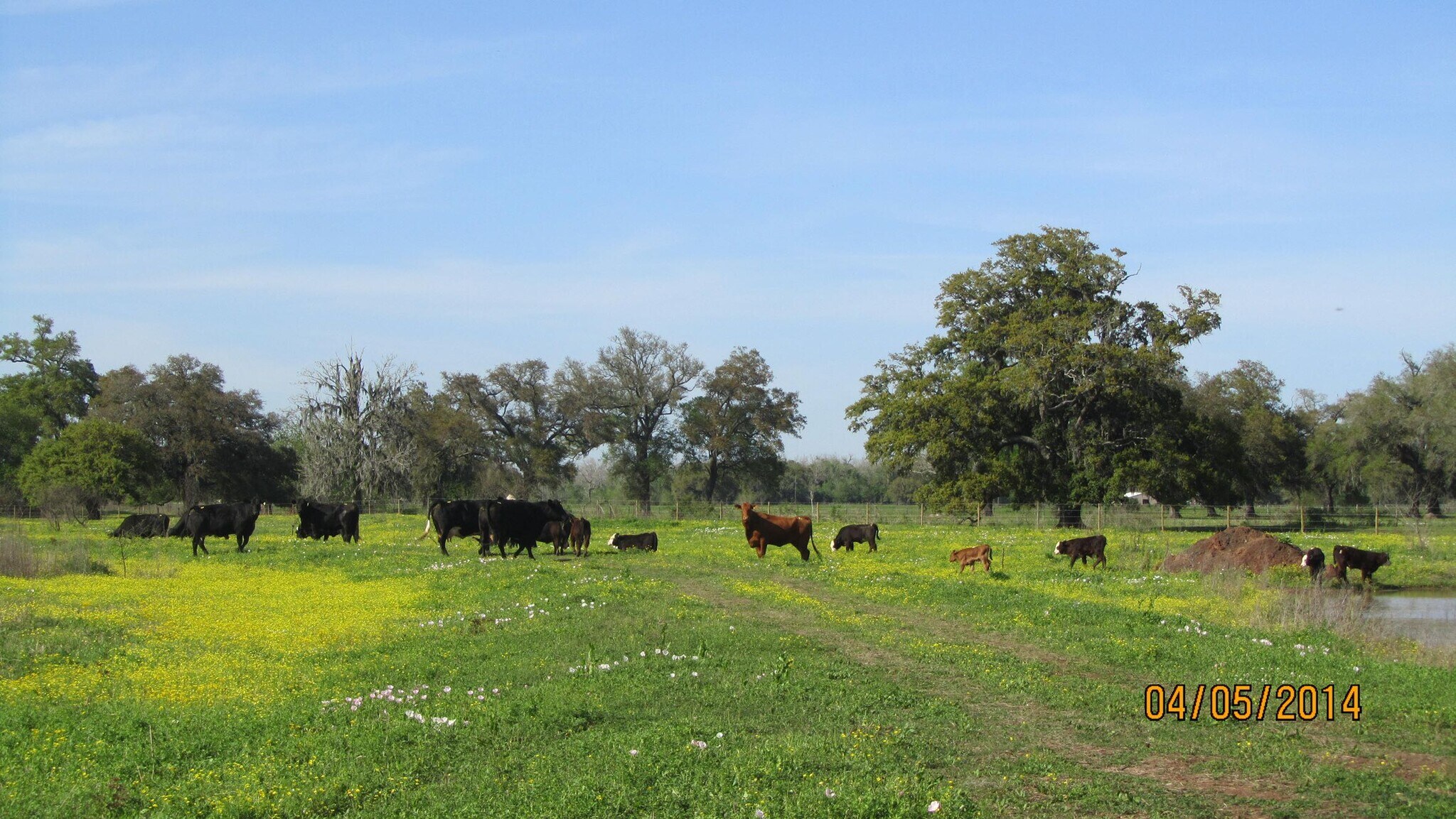 312.7 Acres for Sale portfolio of 3 properties for sale on LoopNet.com Primary Photo- Image 1 of 4