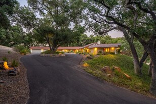 Stunning Central Coast Vineyard Estate - Vineyard