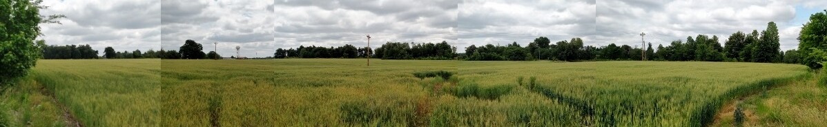 Hwy 60 W, Paducah, KY for sale Building Photo- Image 1 of 1