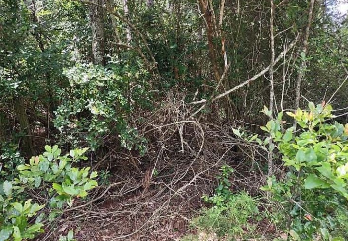 Barnesville Highway, The Rock, GA for sale - Building Photo - Image 2 of 8