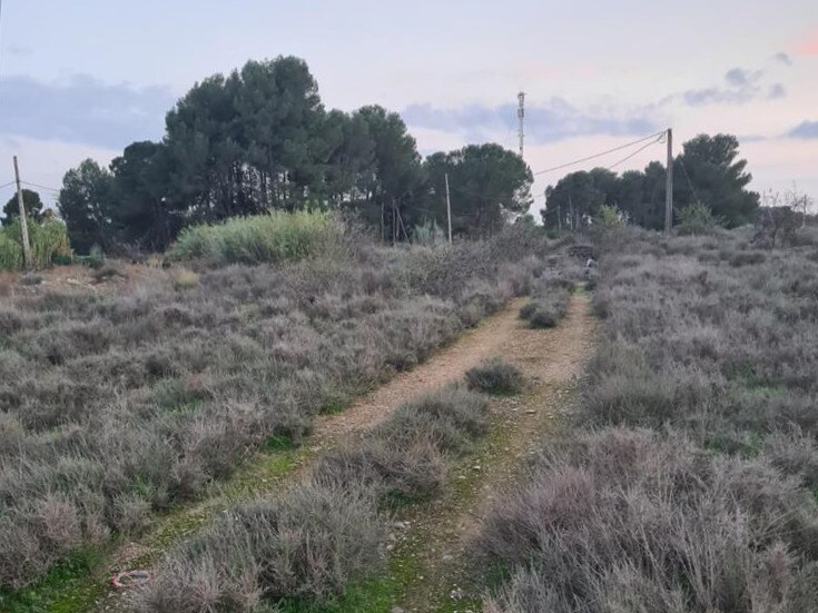 Land in Lleida for sale - Building Photo - Image 1 of 10