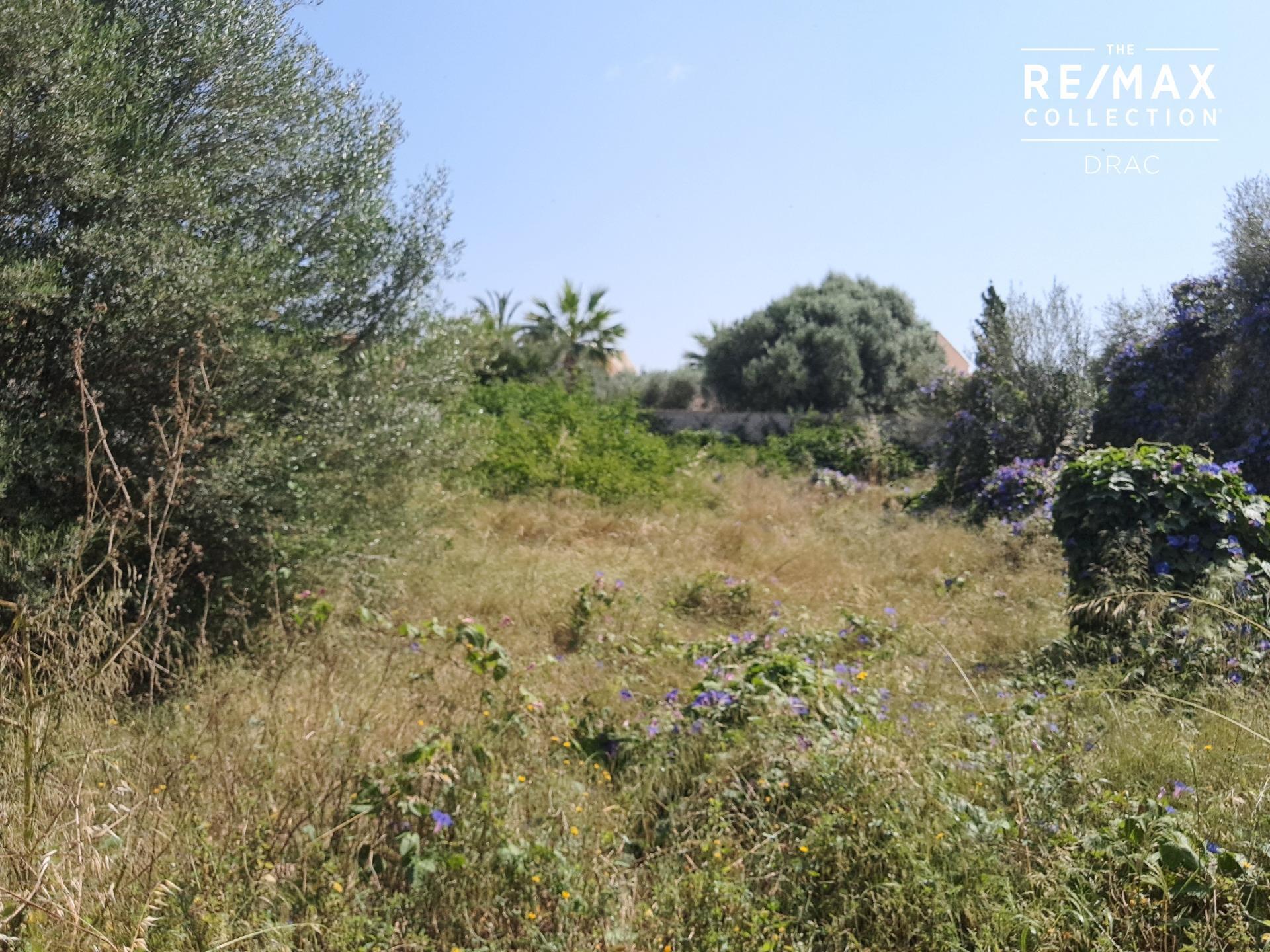 Land in Santanyí, Islas Baleares for sale Building Photo- Image 1 of 5
