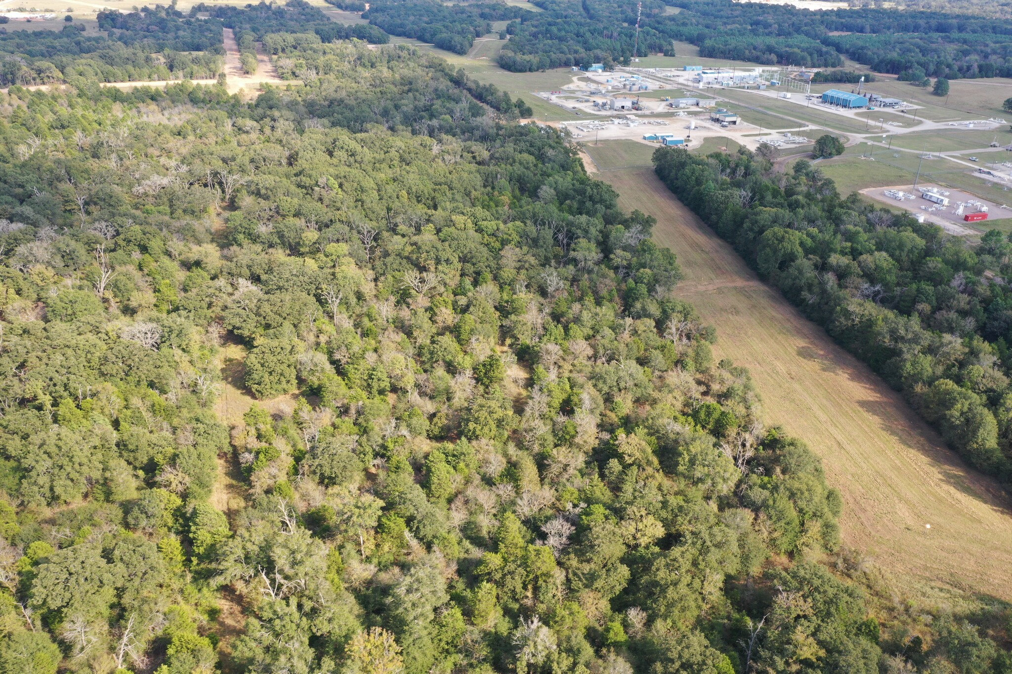 Country Rd 2608, Tennessee Colony, TX for sale Primary Photo- Image 1 of 7