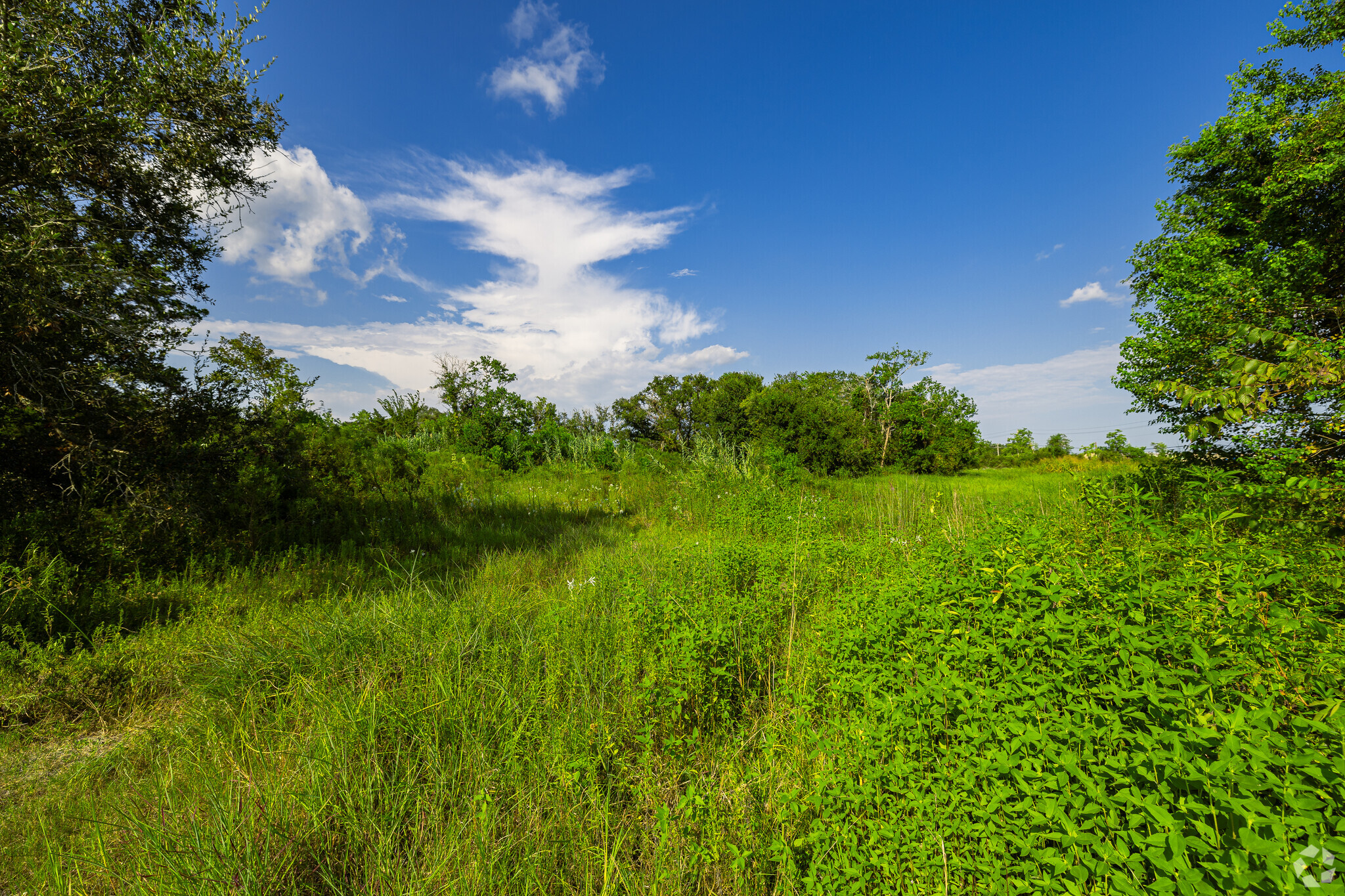 0 Mulberry St, League City, TX for sale Primary Photo- Image 1 of 12