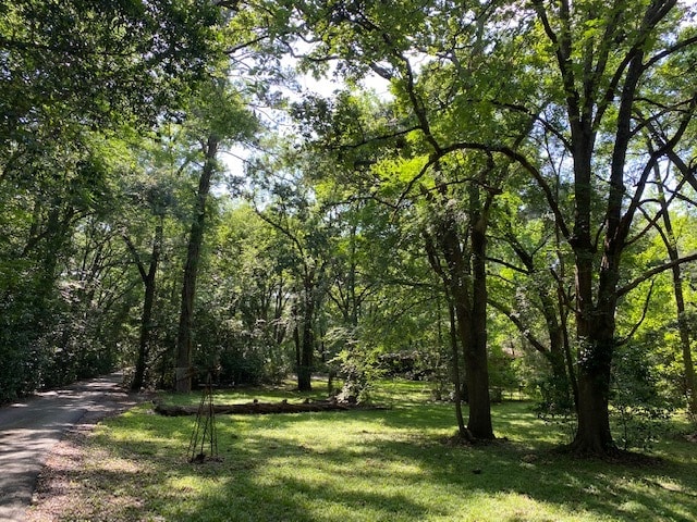 2411 N Frazier St, Conroe, TX for sale - Building Photo - Image 1 of 1