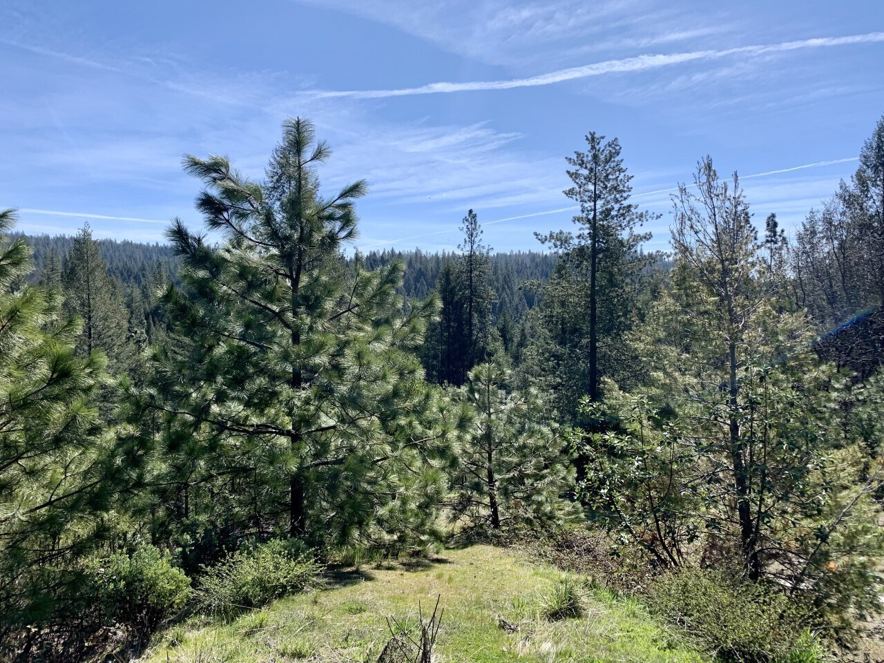 3871 Timber, Placerville, CA for sale Building Photo- Image 1 of 1