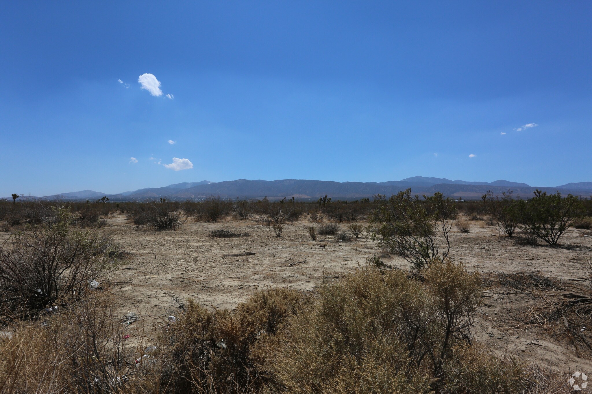 1445 Palmdale Rd, Pinon Hills, CA for sale Primary Photo- Image 1 of 1