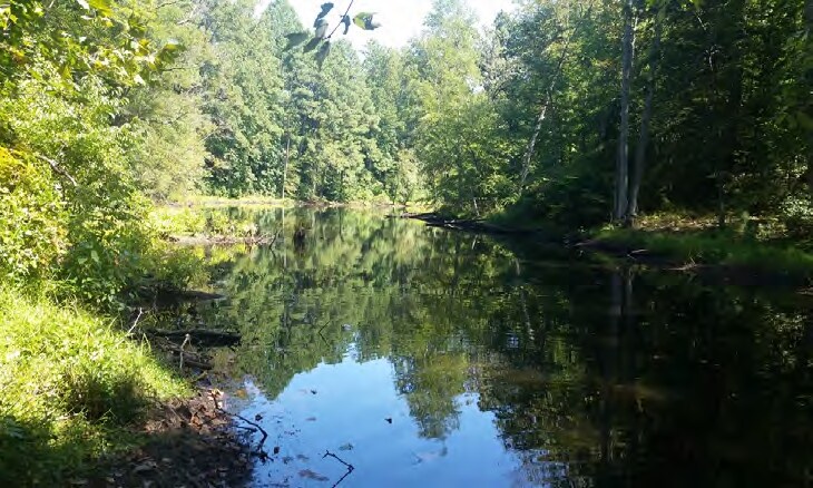 11042 Old Telegraph Rd, Ashland, VA for sale Primary Photo- Image 1 of 1