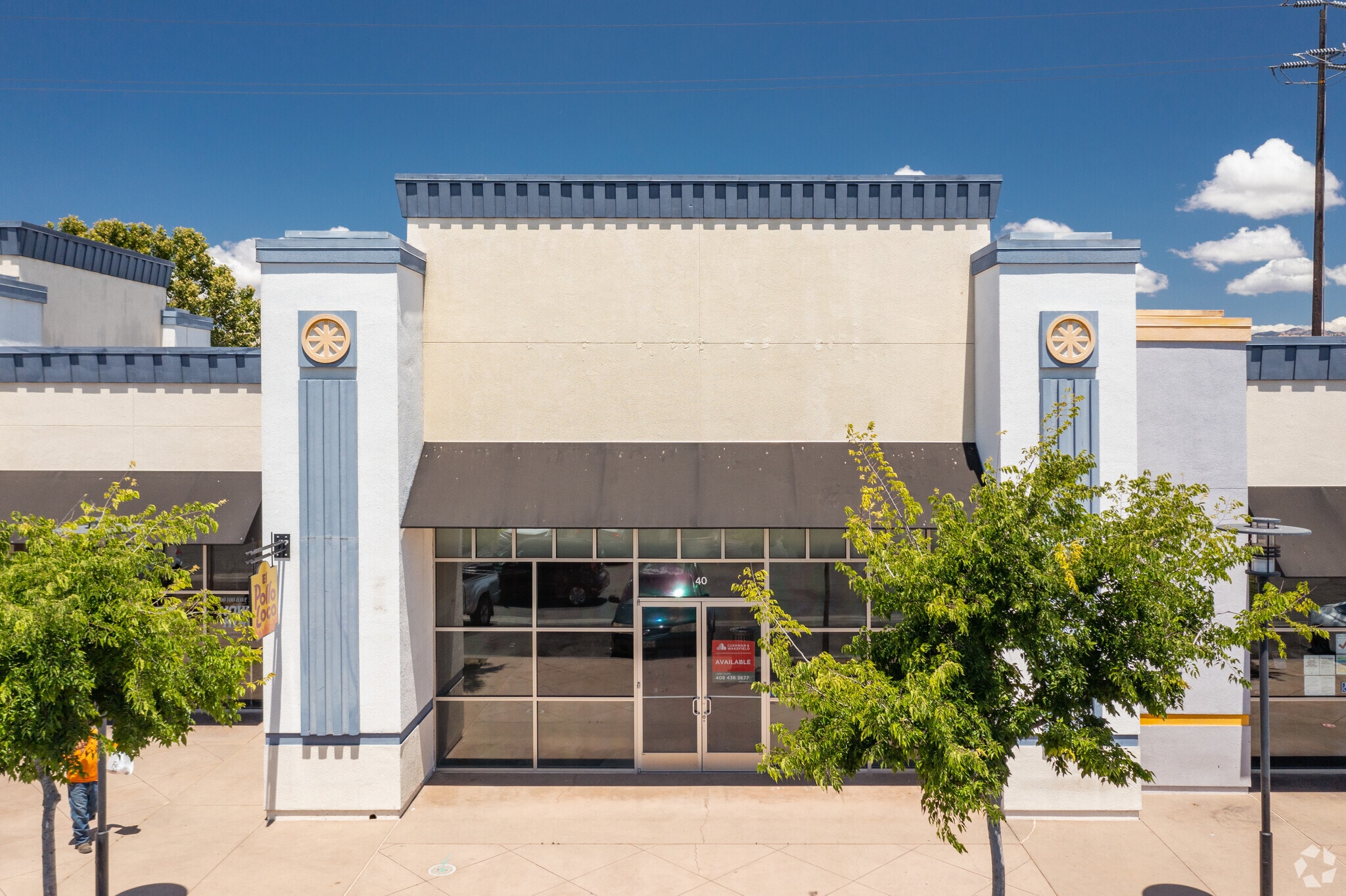 The Plant San Jose Plant Ideas