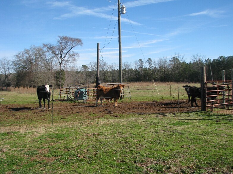 4745 Dewitt Rd, Blackstock, SC for sale - Primary Photo - Image 1 of 1