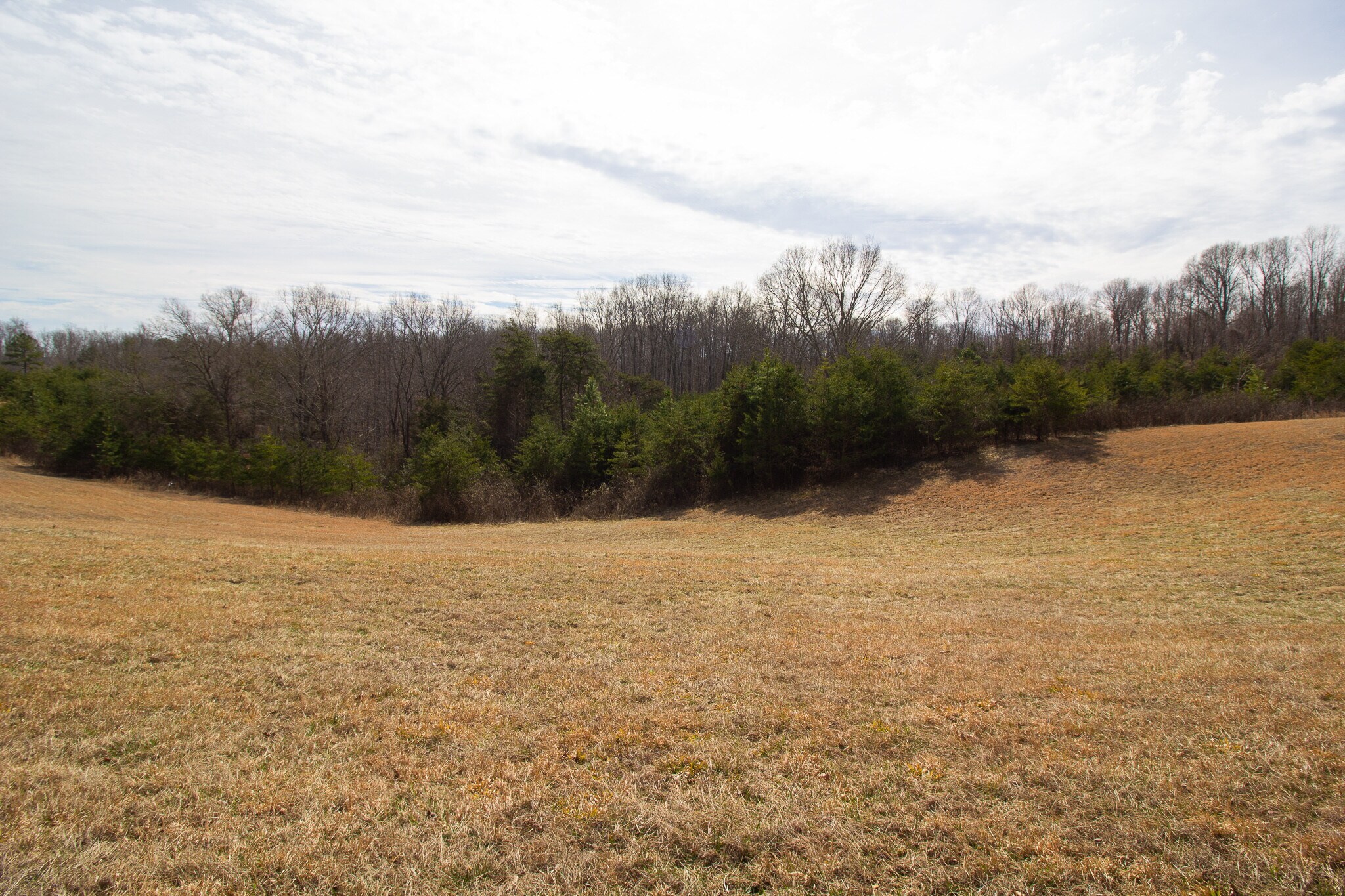 River Road, Madison Heights, Amherst, VA, USA, Madison Heights, VA 24572 Undeveloped Land in