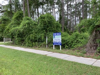 More details for CR 220 & Hollars Pl, Middleburg, FL - Land for Sale