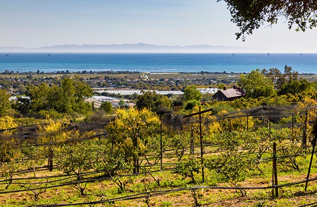 4488 Foothill Rd, Carpinteria, CA for sale - Primary Photo - Image 1 of 1