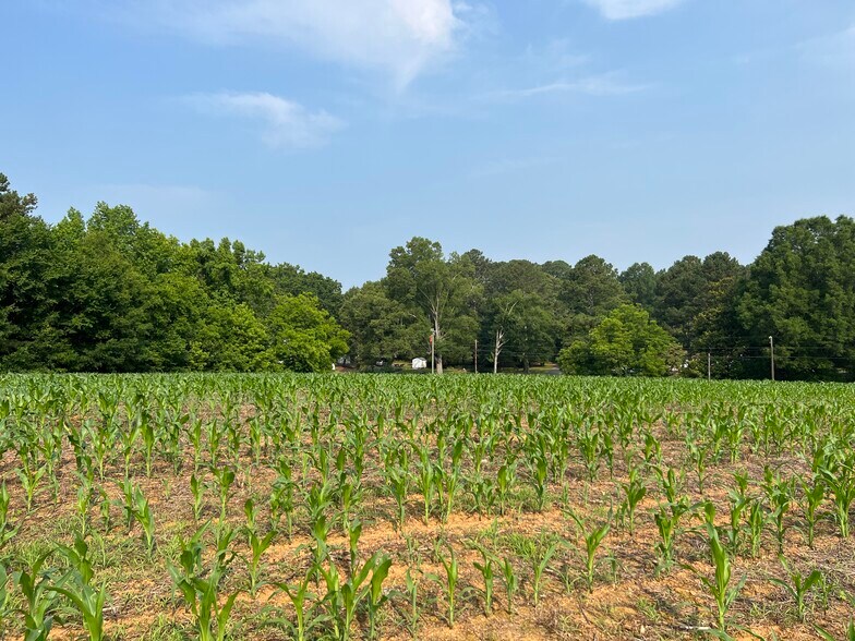 1 Alonzo Rd, Oakboro, NC 28129 Land for Sale