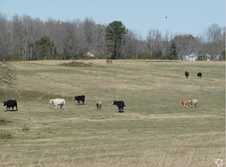 0 Island Creek Rd, Cowpens, SC 29330