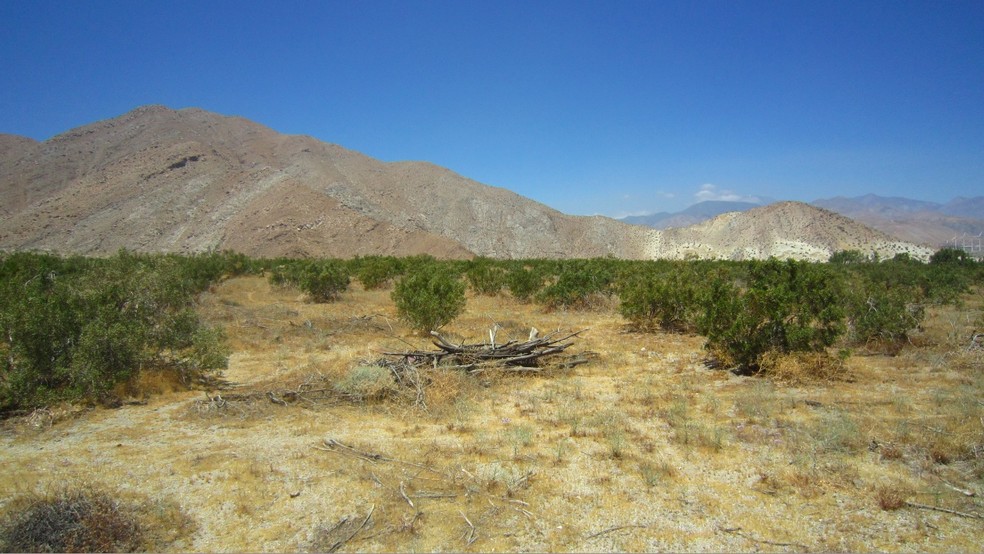 16 Lazy C Ranch Rd, Palm Springs, CA for sale - Building Photo - Image 1 of 1