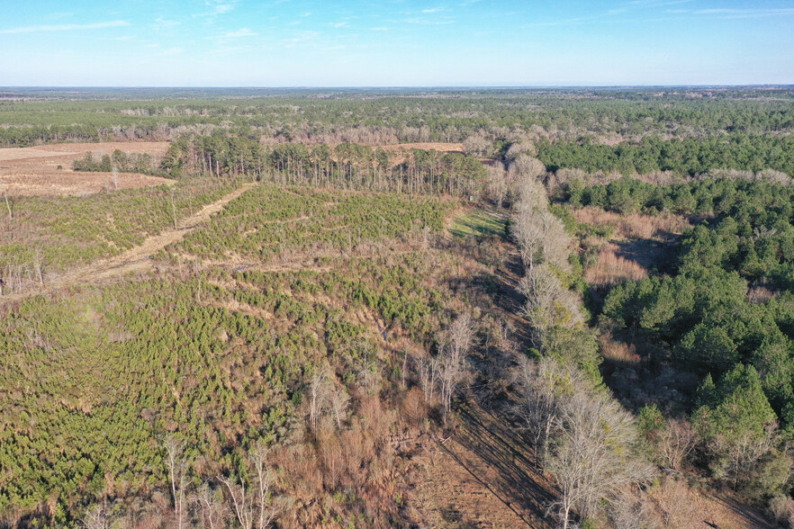 30380 County Road 49, Loxley, AL for sale - Building Photo - Image 1 of 1