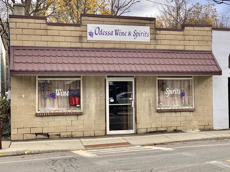 101 Main St, Odessa, NY for sale - Primary Photo - Image 1 of 1
