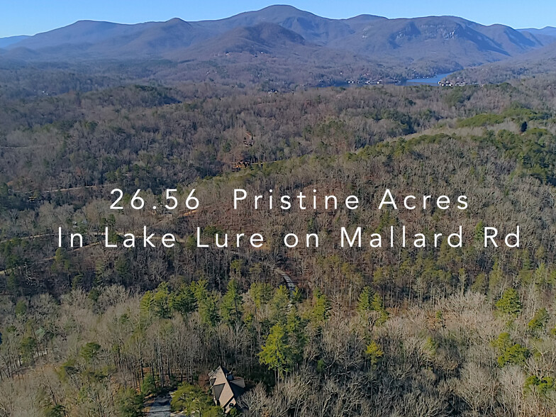 9999 Mallard, Lake Lure, NC for sale - Primary Photo - Image 1 of 1