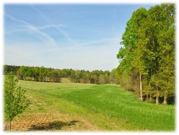 Cobb Rd, Deer Lodge, TN for sale Other- Image 1 of 1