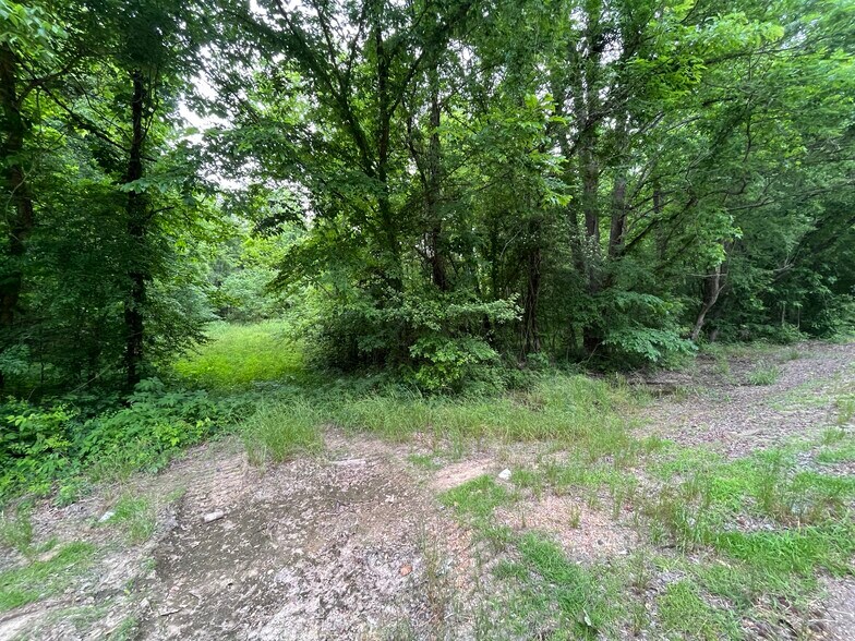 15170 Arkabutla, Sarah, MS 38665 Land for Sale