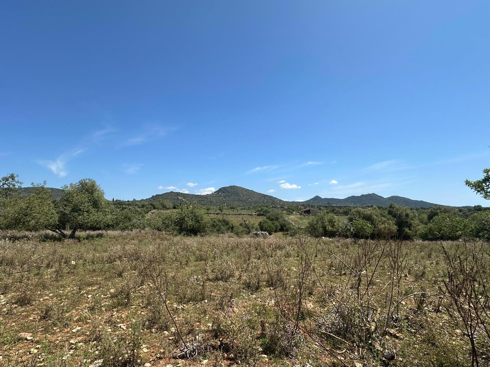 Land in Sant Llorenç des Cardassar for sale Aerial- Image 1 of 8
