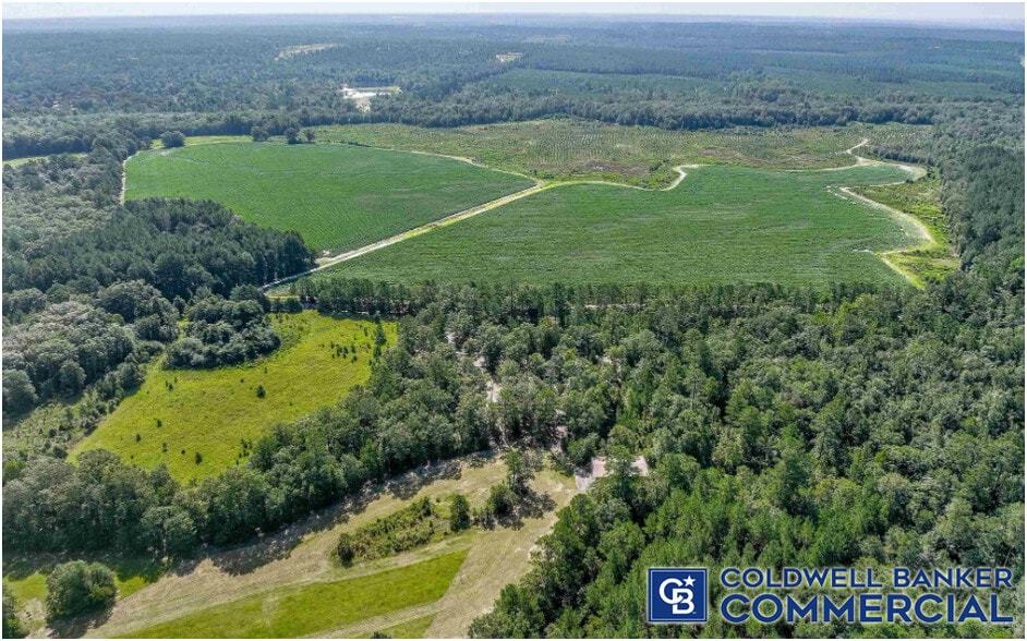 1340 Clayton Rd, Ridge Spring, SC for sale - Building Photo - Image 3 of 17