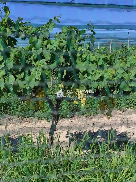 Land in Alicante, Alicante for sale - Building Photo - Image 1 of 8