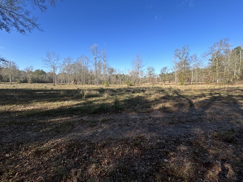 Boy Scout Rd - Section 1, Forest Hill, LA for sale - Other - Image 3 of 3