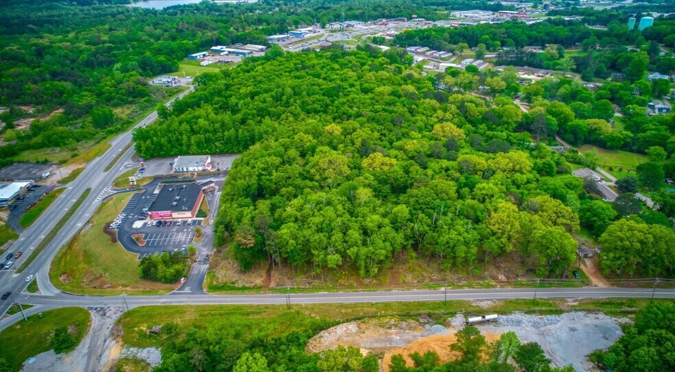 00 43 Hwy, Russellville, AL 35654 Land for Sale