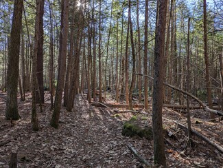 More details for Lot 1 Willis Rd Rd, Phillipston, MA - Land for Sale