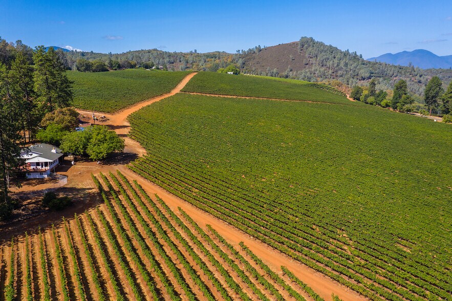 9250 S State Highway 29, Lower Lake, CA for sale - Primary Photo - Image 1 of 1