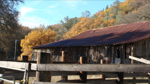 18139 Dog Bar Rd, Grass Valley, CA for sale - Primary Photo - Image 1 of 1