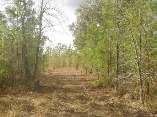 US 301, Starke, FL for sale Primary Photo- Image 1 of 1