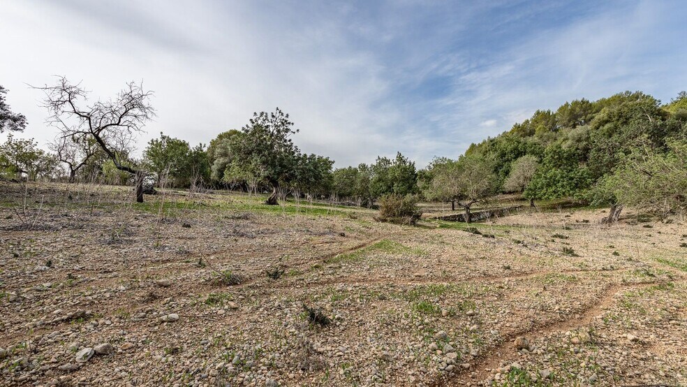 Land in Campanet for sale - Building Photo - Image 2 of 36