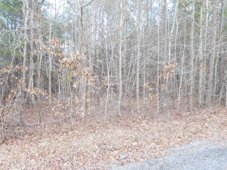 Tanners Rd, Smyrna, SC for sale - Building Photo - Image 3 of 4