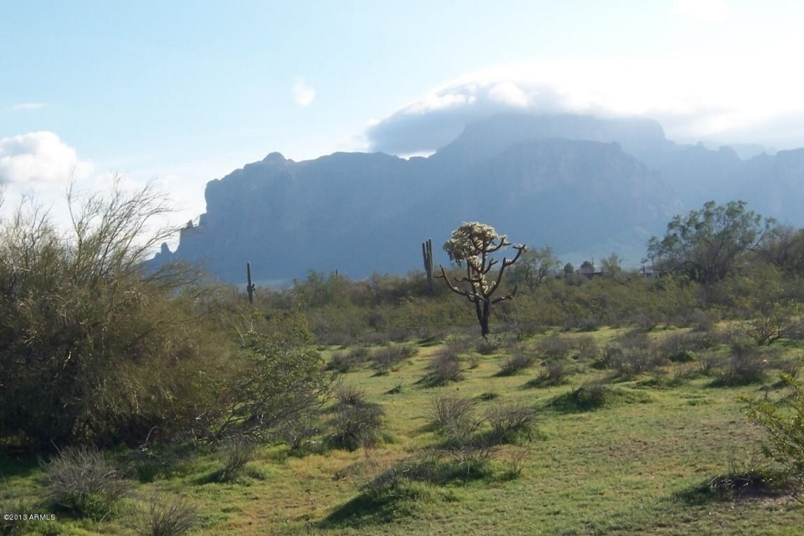 4200 NE 88 Hwy, Apache Junction, AZ for sale Primary Photo- Image 1 of 1