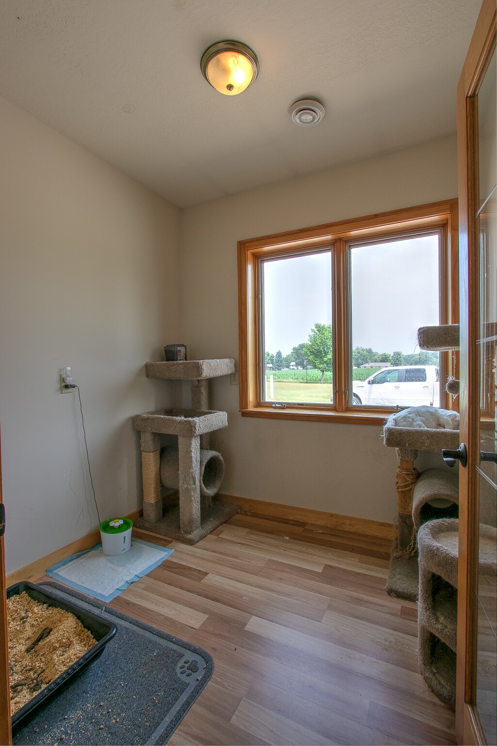 31158 Palisade St NE, Cambridge, MN 55008 Cedar Creek Kennels