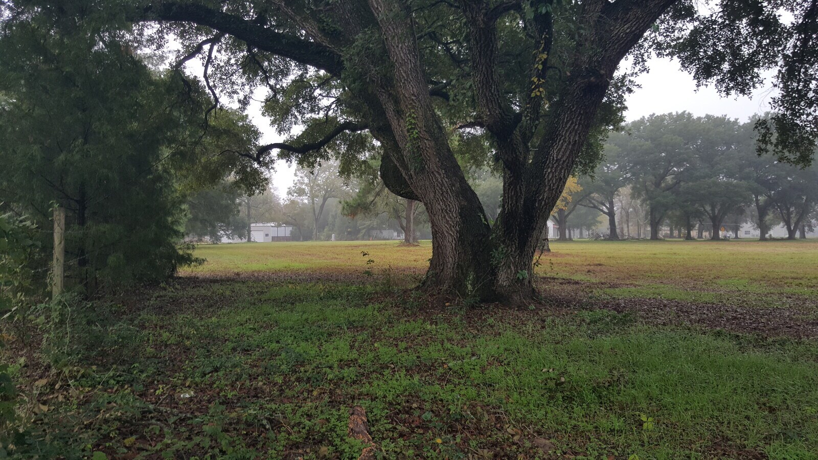 21100 Rosehill Church rd. Burkhardt, Tomball, TX 77377 Rosehill