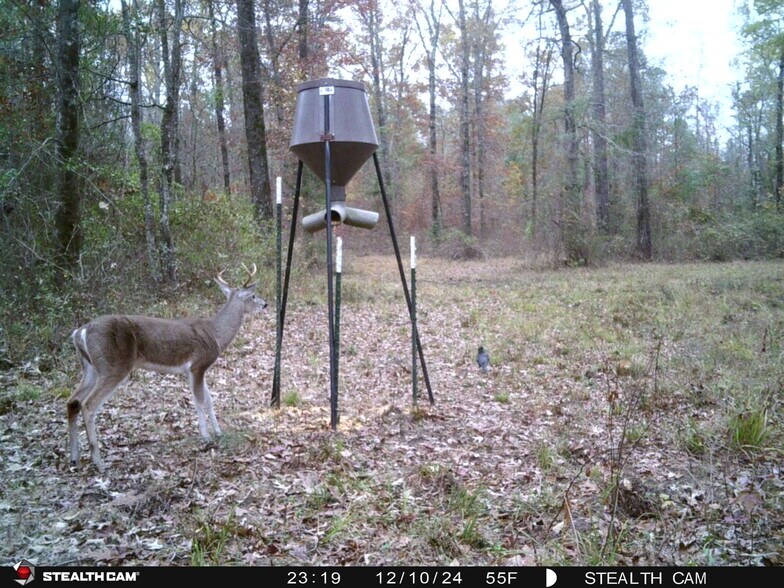 TBD CR 4117, Atlanta, TX for sale - Building Photo - Image 3 of 22