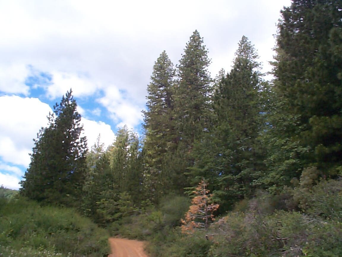 View Photo