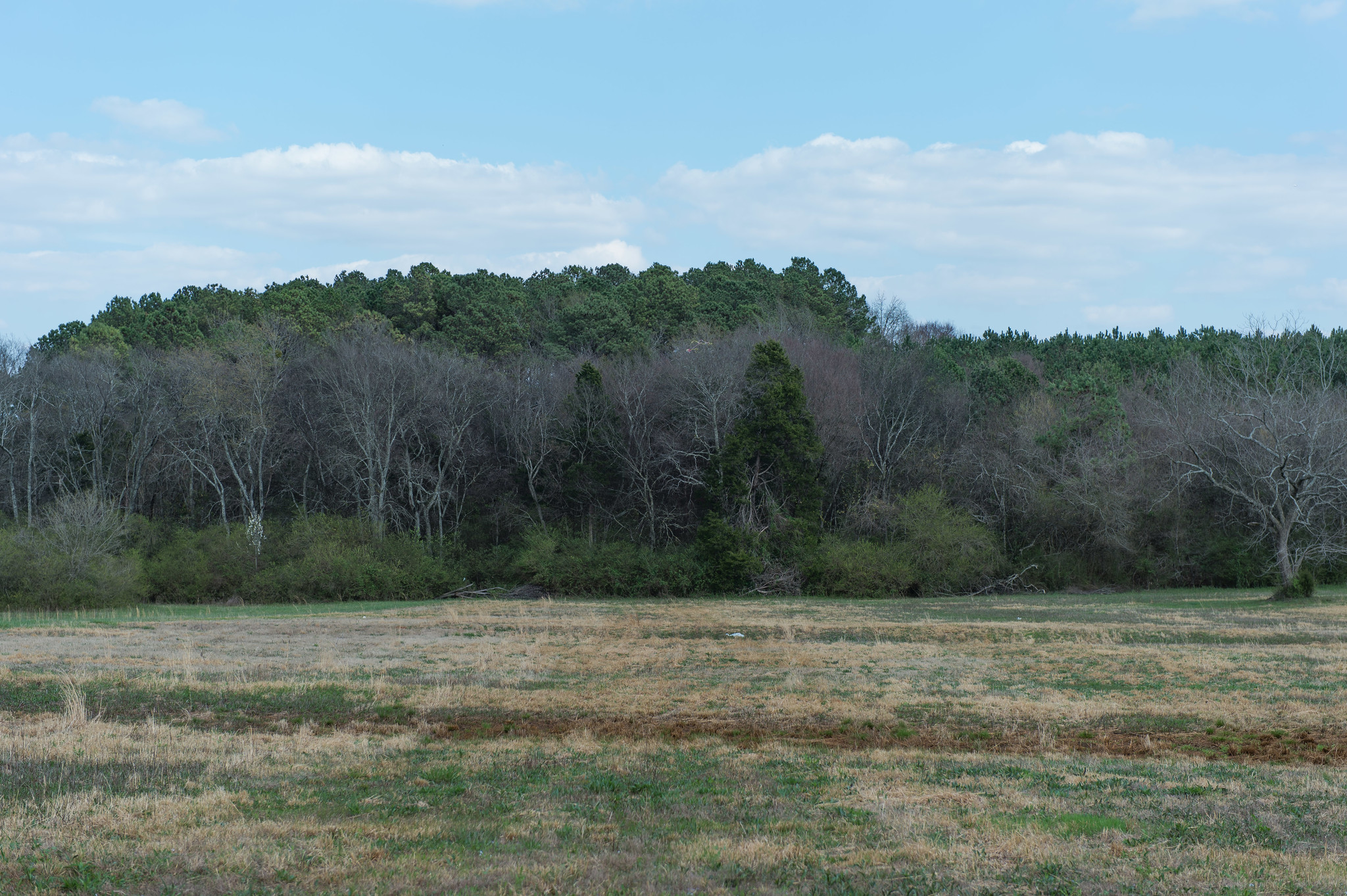 00 Slaughter Rd, Huntsville, AL for sale Primary Photo- Image 1 of 1