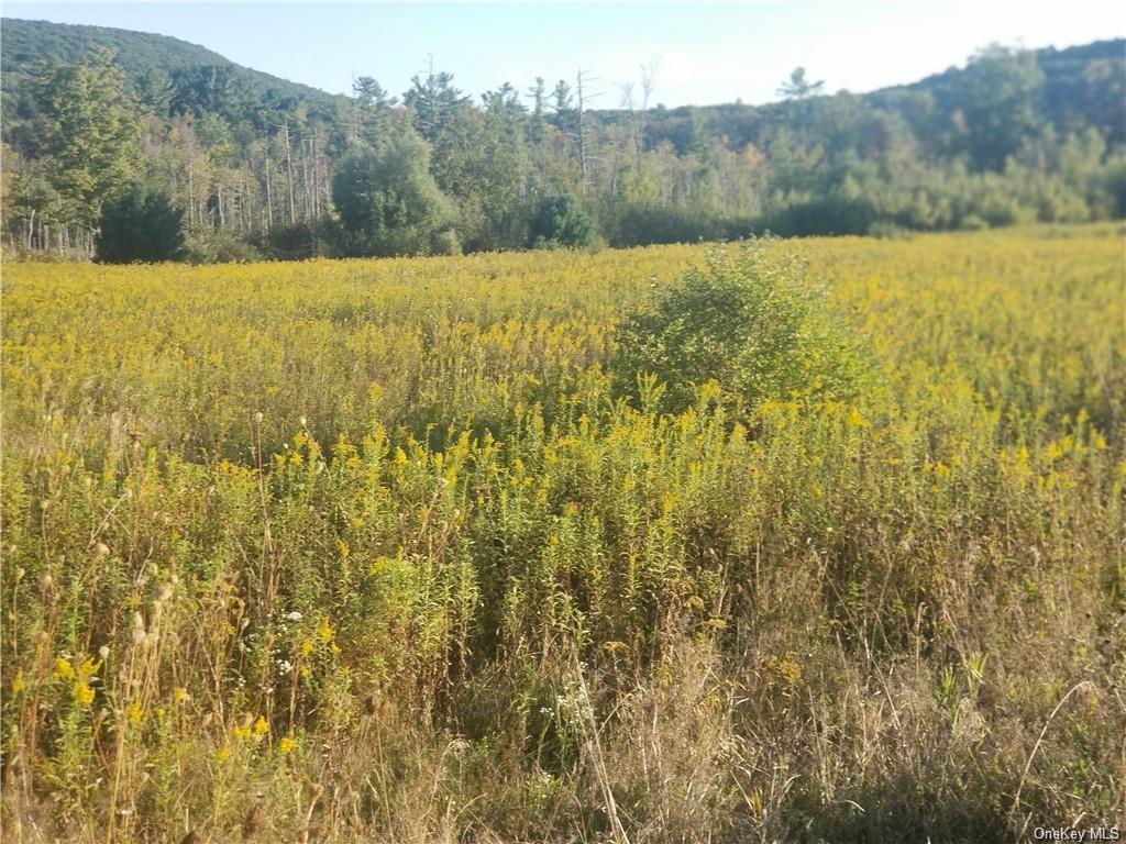 44, Millerton, NY for sale Primary Photo- Image 1 of 1